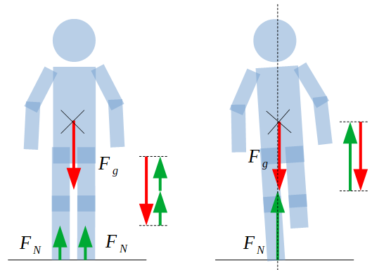 Graphique de forces personne
