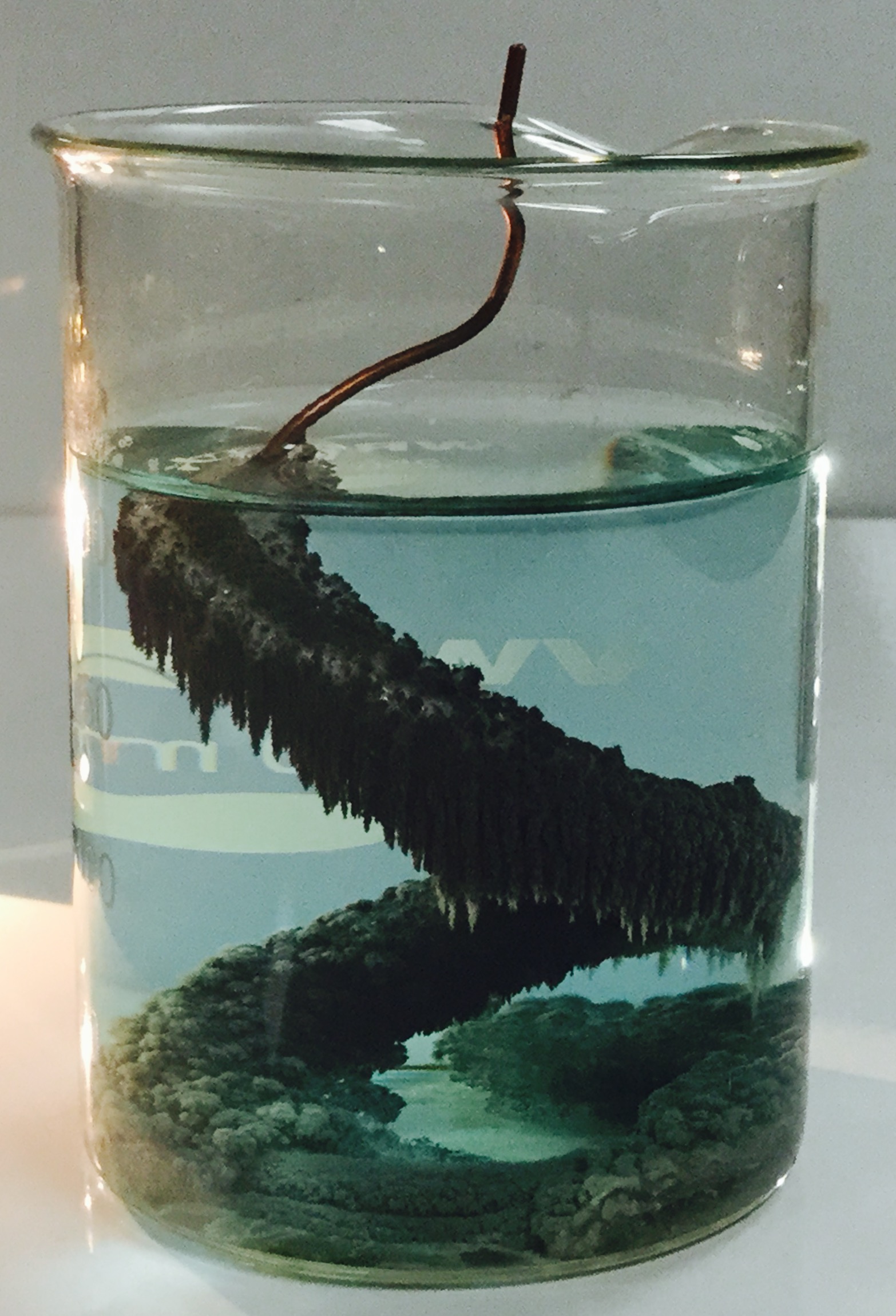 Cuivre dans du nitrate d'argent