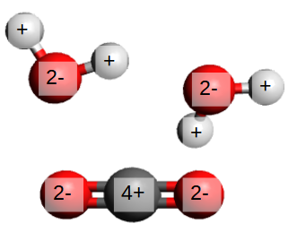 Eau et dioxyde de carbone
